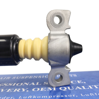 Akzeptable Probe für den Rückschlagdämpfer Ocm HG9Z18125C