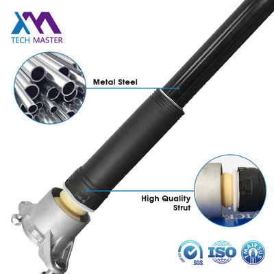 A1563200931 Hochwertiger Stoßdämpfer für X156 E-Klasse hinten