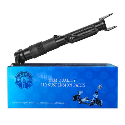 2513202231 Einstellbare Mercedes-Benz Luftfederung W251/R300 hinten