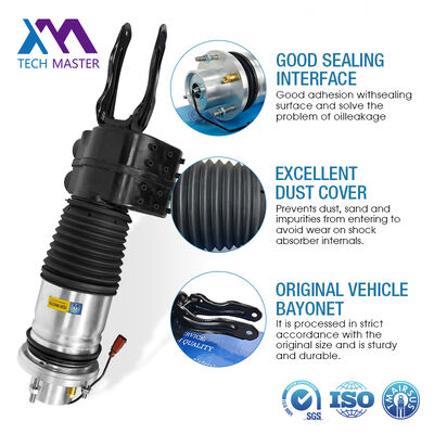 Fabrikheißer Verkauf für Au-Di Etron Gt Pors-Che Tay-Can Stoßdämpfer