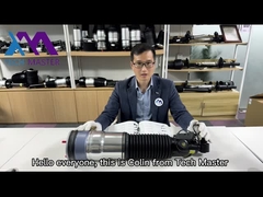 Rückseitenluft-Suspendierungsstoßdämpfer F02 F01