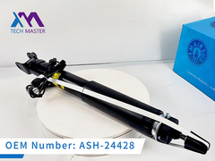 Tech Master LINCOIN MKS MKT Rückseite mit elektrischem Stoßdämpfer ASH-24428