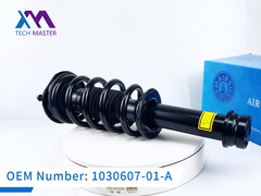 Technikmeister Tesla Modell S Schlagdämpfer komplett 1030607-01-A