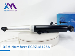 Tech Master Lincoln MKT hinteren Schlagdämpfer mit ADS DE9Z18125J, DE9Z18125B, DE9Z18125G