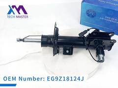Technischer Meister Lincoln MKZ Schlagdämpfer mit ADS EG9Z18124J