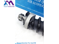Technischer Meister TMAIRSUS Stoßdämpfer für Audi R8
