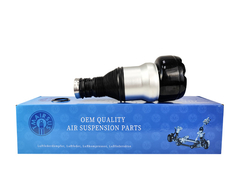 TMAIRSUS Hinterluftfeder für Mercedes-Benz W222 V222 X222 2223200413