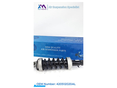 Stoßdämpfer für Nissan Patrol