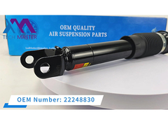 Tech Master Rücken Stoßdämpfer Stützabsorber für Cadillac C5 22248830