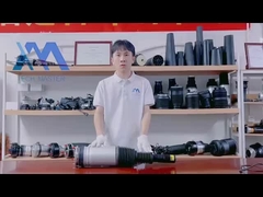 Range Rover L405 Schlagdämpfer vorne