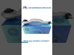 Technischer Meister TMAIRSUS untere Vordersteuerung Links und Rechts für BENZ S-Klasse W221 2213306311; 22133064