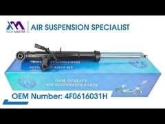 Technischer Meister TMAIRSUS Rückseite Linke Stützschlagdämpfer für Audi A6L/C6 4F0616031H