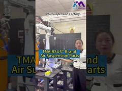 Technischer Meister: Ihre vertrauenswürdige Luftfederungsanlage