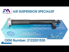 Technischer Meister TMAIRSUS Frontspulen-Schock für BENZ W212 2 Matic 2123231300