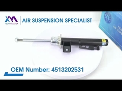 Tech Master TMAIRSUS Vordere Schraubenfeder Stoßdämpfer für W451 4513202531