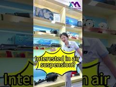 Tech Master = Ihre professionelle Quelle für Luftfederungsstoßdämpfer