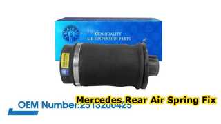 Mercedes-Benz W251/R350 R500 Luftfeder hinten