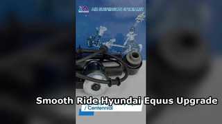 Tech Master TMAIRSUS Luftfederungsset mit EDC für Hyundai Equus