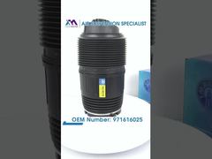 „Tech Master TMAIRSUS hinten links für Porsche Panamera 971 Bentley Flying Spur Continental GT